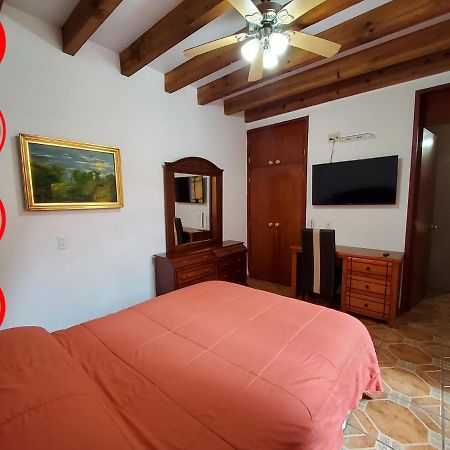 Villa Alfonsina Мехико Экстерьер фото